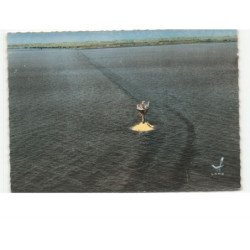NOIRMOUTIER: passage du gois, la route nationale 148 recouverte par la mer vue aérienne 10x15 - très bon état