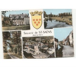 SAINT-SAËNS: souvenir, 5 vues vue aérienne 10x15 - état