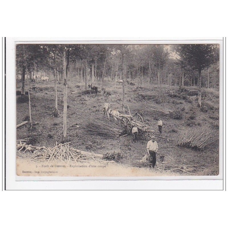 DESVRES : foret de desvres, exploitation d'une coupe - tres bon etat