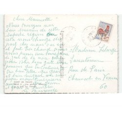 CANET: vue générale et le pont sur l'hérault vue aérienne 10x15 - très bon état