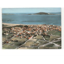 MEZE: vue générale, parcs à huîtres sur l'étang de thau  vue aérienne 10x15 - très bon état