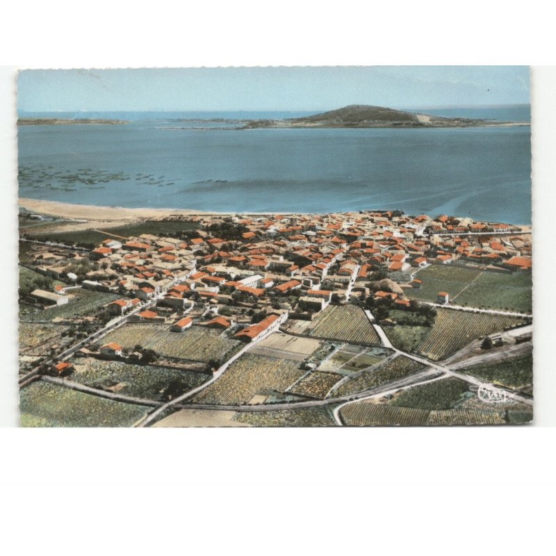 MEZE: vue générale, parcs à huîtres sur l'étang de thau  vue aérienne 10x15 - très bon état