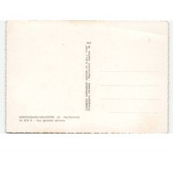 MONTRESQUIEU-VOLESTRE: vue générale vue aérienne 10x15 - très bon état