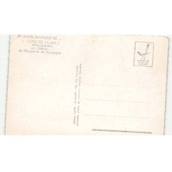 COUCHES: "bourgogne" le château de marguerite de bourgogne vue aérienne 10X15 - très bon état