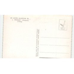PRIVEZAC: l'étang vue aérienne 10X15 - très bon état
