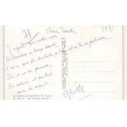 LA CHAPELLE-SAINT-SAUVEUR: vue générale vue aérienne 10X15 - très bon état