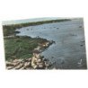 BEG-MEIL: plage des oiseaux vue aérienne 10x15 - très bon état