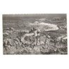 BRIGNOGAN: le phare et la plage vue aérienne 10x15 - très bon état