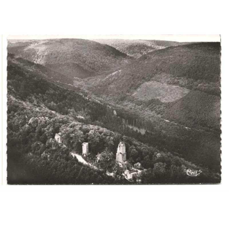 SAVERNE: le griffon vu du haut-barr vue aérienne 10X15 - très bon état