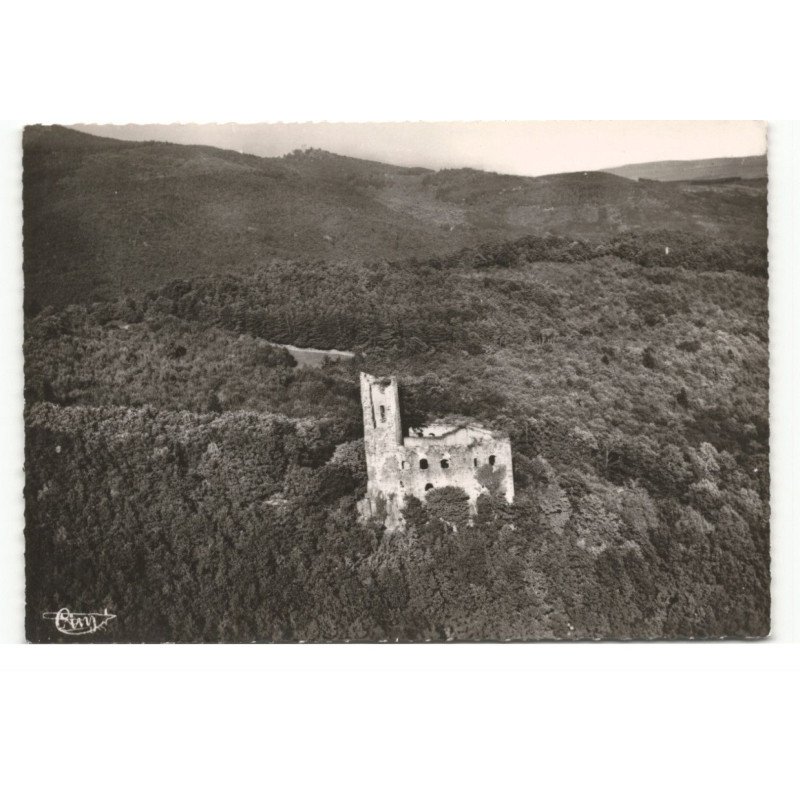 environs de BARR: château de spesbourg vue aérienne 10X15 - très bon état