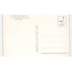 NIEDERBRONN: grand hôtel vue aérienne 10X15 - très bon état