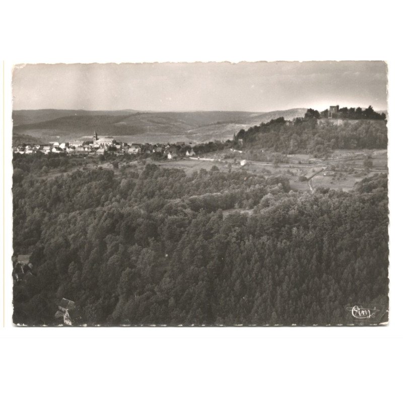 LICHTENBERG: vue générale vue aérienne 10X15 - très bon état