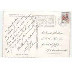 LICHTENBERG: vue générale du château vue aérienne 10X15 - très bon état