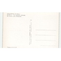 DORLISHEIM: vue générale, en arrière plan, molsheim, vue aérienne 10X15 - très bon état