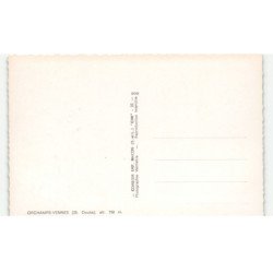 ORCHAMPS-VENNES: vue générale vue aérienne 10x15 - très bon état