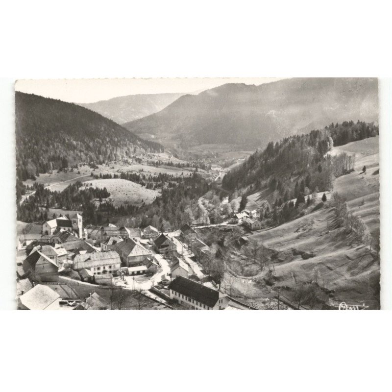 JOUGNE: vallée de la ferrière vue aérienne 10x15 - très bon état