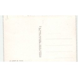 LE LUHIER: vue générale vue aérienne 10x15 - très bon état