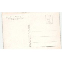 ORCHAMPS-VENNES: hôtel barrey vue aérienne 10x15 - très bon état