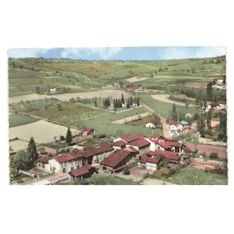 SAINT-MICHEL-sur-SAVASSE: vue générale et l'hôtel des fins gourmets vue aérienne 10x15 - très bon état