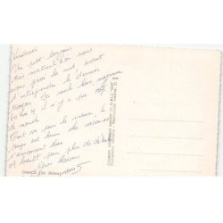 CHANOS: vue générale vue aérienne 10x15 - très bon état