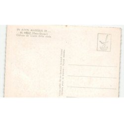 MELLE: château de chaillé XVIIe siècle vue aérienne 10X15 - état