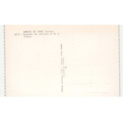 ABBAYE DE TANIE: ensemble des bâtiments et de la cloture vue aérienne 10X15 - très bon état