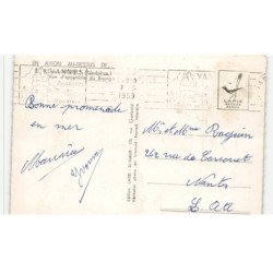 ILE-aux-MOINES: vue d'ensemble du bourg vue aérienne 10x15 - très bon état
