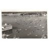 LA TRINITE-sur-MER: la criée et vue sur la rive droite vue aérienne 10X15 - très bon état