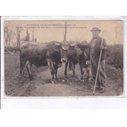 environs SAINT-BENOIT-du-SAULT: paysan octogénaire du bas berry conduisant ses boeufs au marché - état