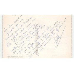 SCHAEFERHOF: le centre vue aérienne 10X15 - état