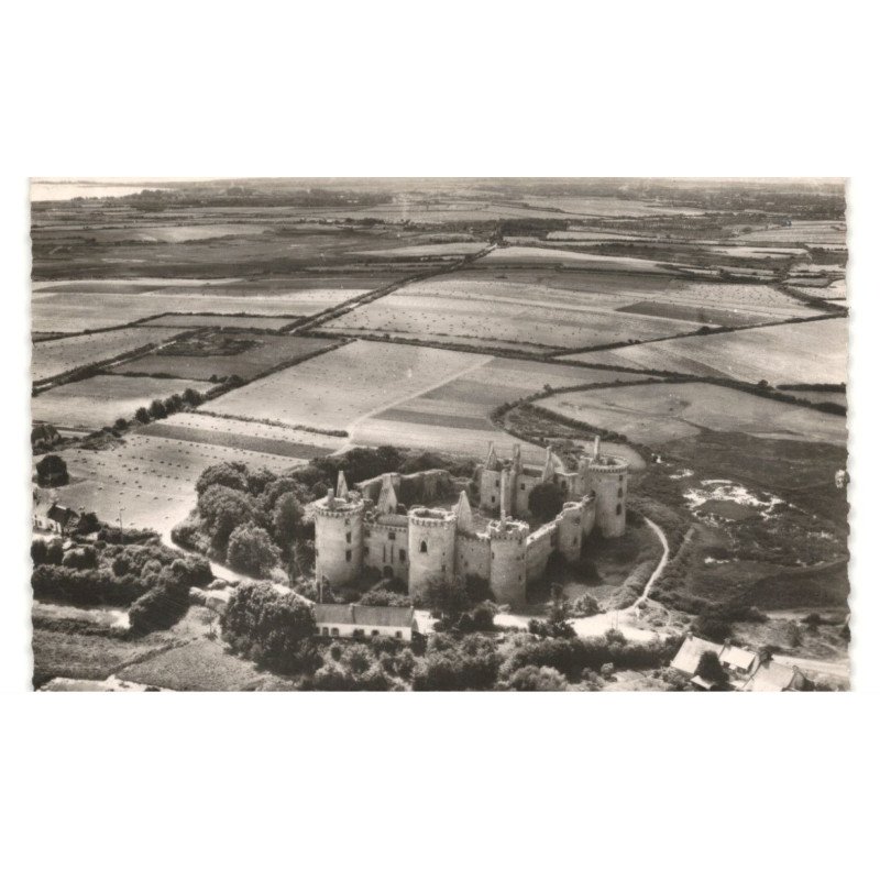SUSCINIO: château XIIIe siècle commencé en 1218 par pierre de dreux vue aérienne 10X15 - très bon état