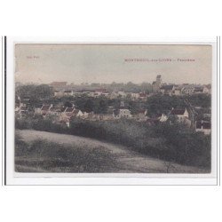 MONTREUIL-aux-LION : panorama - etat