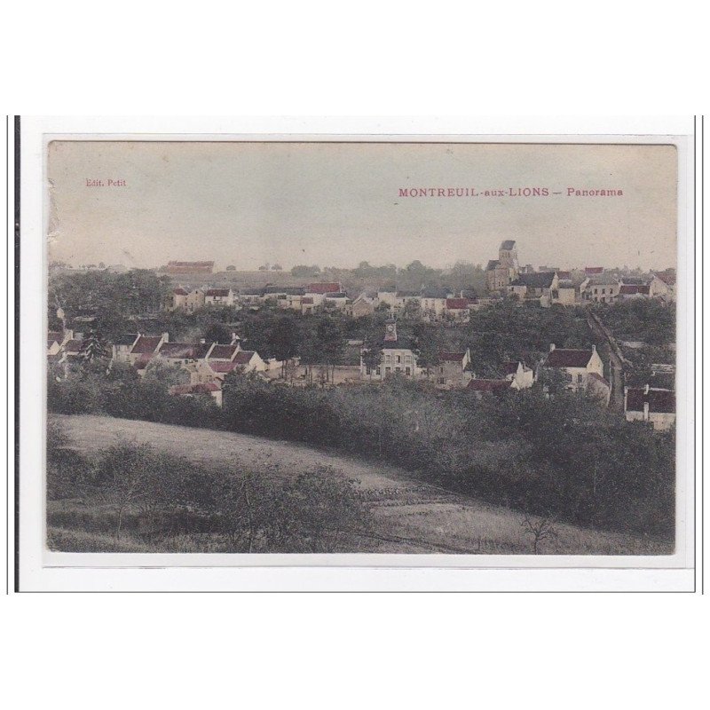MONTREUIL-aux-LION : panorama - etat