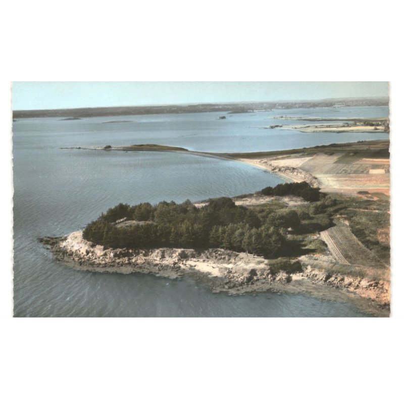 ILE-D'ARZ: pointe de léos vue aérienne 10X15 - très bon état