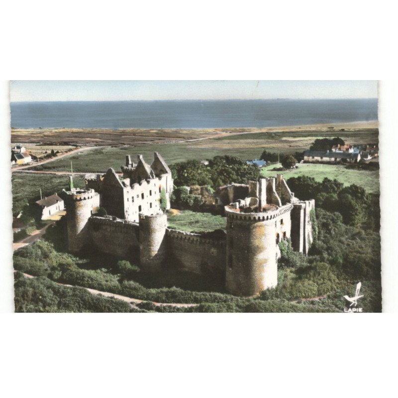 LE CHATEAU-de-SUSCINIO: vue aérienne 10X15 - très bon état