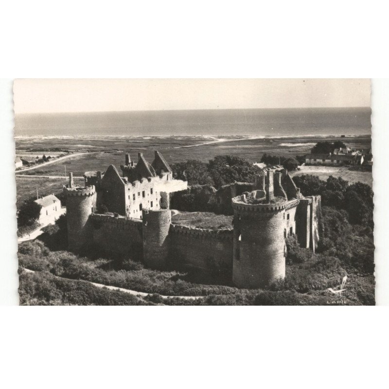 CHATEAU-de-SUSCINIO vue aérienne 10X15 - très bon état