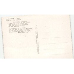 GALLARDON: vue aérienne 10x15 - très bon état
