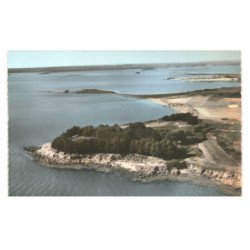 ILE-D'ARZ: pointe de léos vue aérienne 10X15 - très bon état