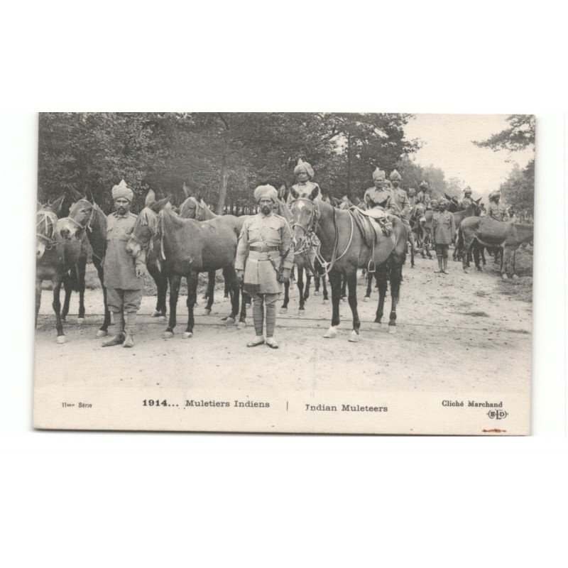 MILITAIRES: Indes, Hindou, Sikh, muletiers indiens, chevaux - très bon état