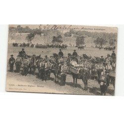 MILITAIRES CHASSEURS ALPINS: batterie alpine, revue - très bon état
