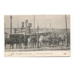 MILITAIRES: Indes, Hindou, Sikh, les indiens et leurs mulets - très bon état