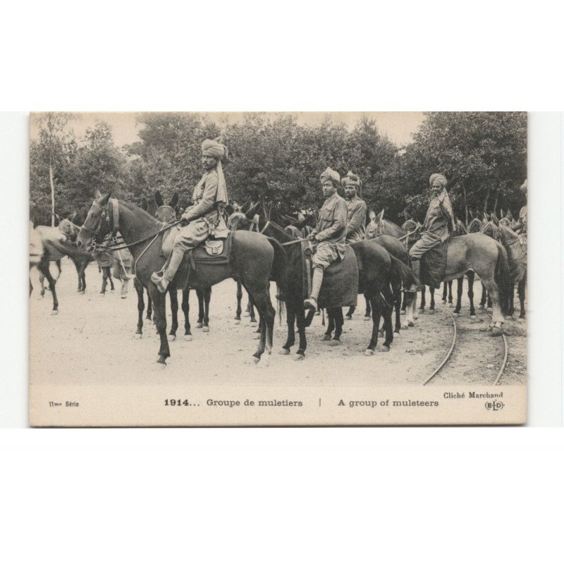 MILITAIRES: Indes, Hindou, Sikh, groupe muletiers, chevaux - très bon état