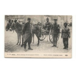 MILITAIRES: Indes, Hindou, Sikh, petit attelage de campagne indien - très bon état
