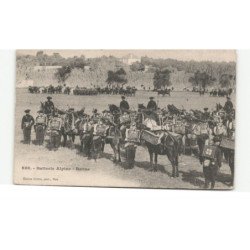MILITAIRE CHASSEURS ALPINS: batterie alpines, revue - très bon état