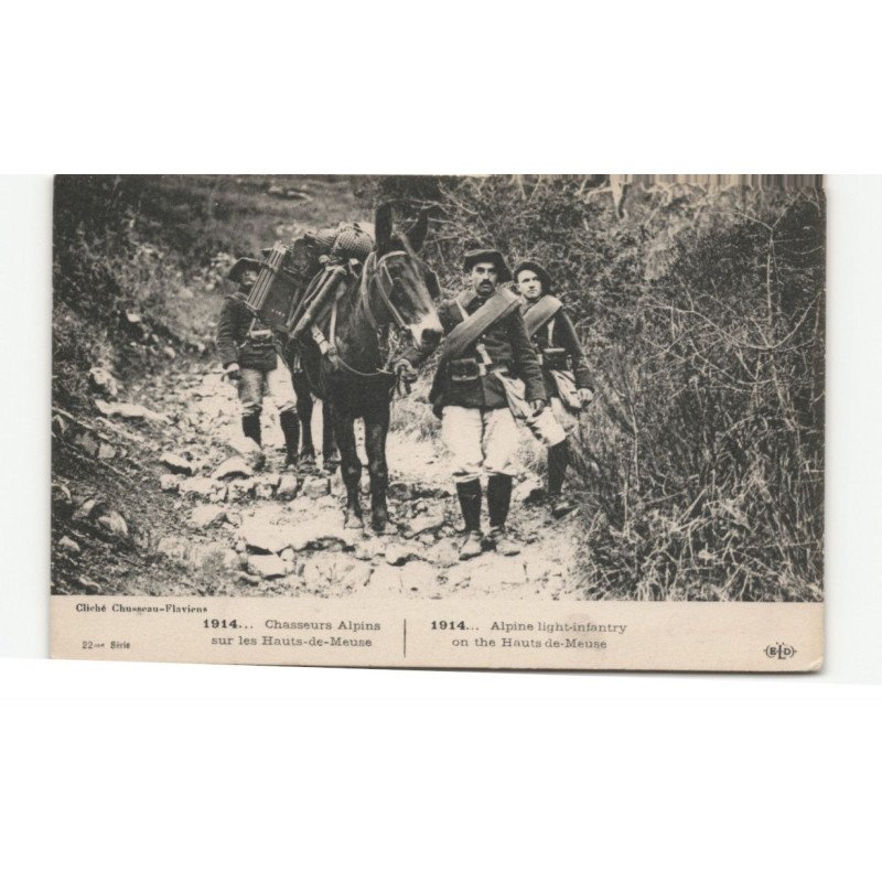 MILITAIRES CHASSEURS ALPINS: chasseurs alpins sur les hauts-de-meuse - très bon état