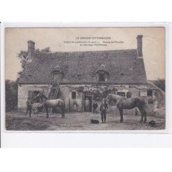 THIRON-GARDAIS: ferme de pinodier et chevaux percherons, chevaux - état