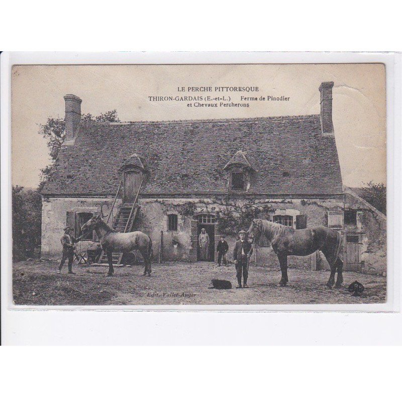 THIRON-GARDAIS: ferme de pinodier et chevaux percherons, chevaux - état