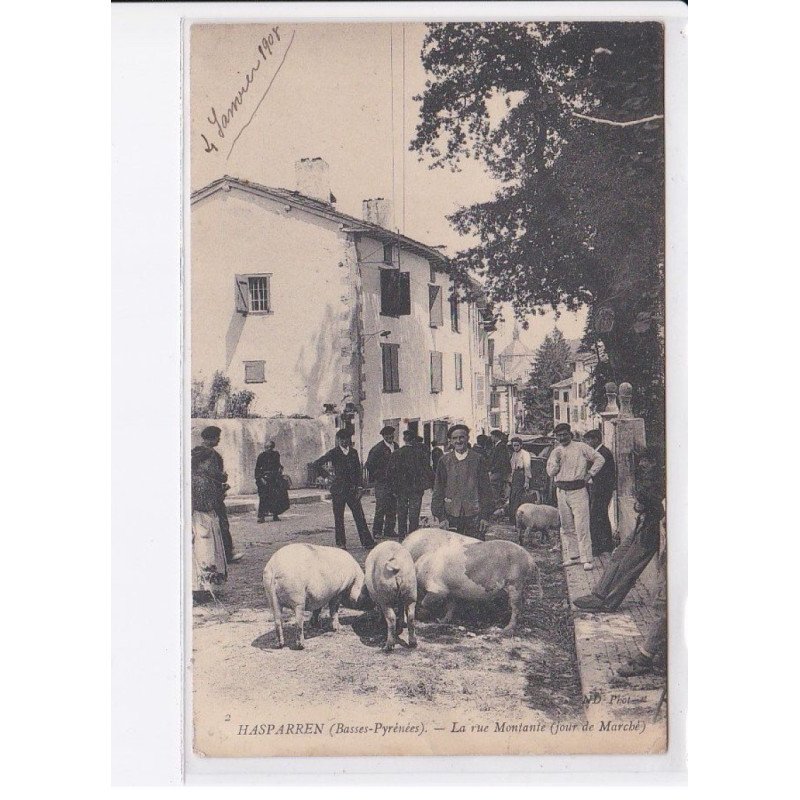 HASPARREN: la rue montante (jour de marché), cochons - très bon état
