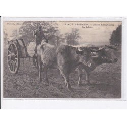 LAMOTTE BEUVRON: colonie saint-maurice, la culture, attelage de boeufs - très bon état