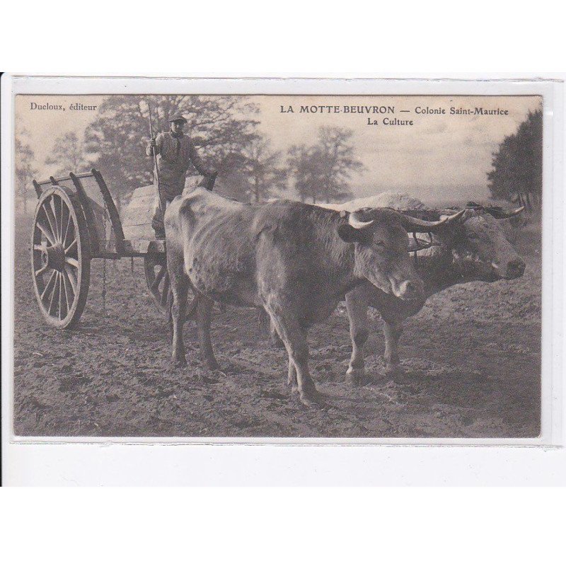LAMOTTE BEUVRON: colonie saint-maurice, la culture, attelage de boeufs - très bon état